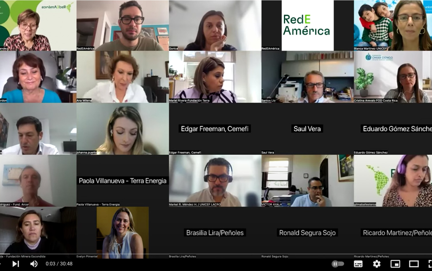 Captura de pantalla de una reunión virtual con participantes en la Plataforma de Formación Virtual de RedEAmérica.
